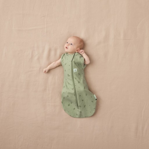 Спальный мешок ergoPouch Swaddle 3-6M 1.0TOG Ива