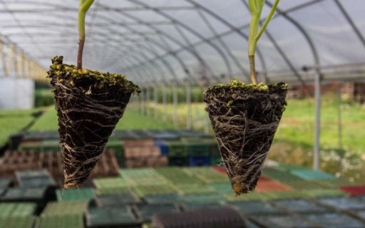 BlackJak Fertilizer 1L Стимулятор корнеобразования Агент для укоренения