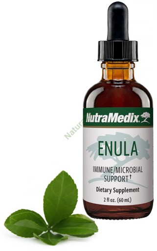 Энула 60мл NutraMedix Паразиты, острицы, круглые черви