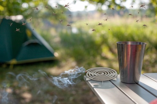 СПИРАЛЬНЫЙ РЕПЕЛЕНТ ОТ КОМАРОВ, МУХ, ОС, БЕЗ ВРЕДИТЕЛЕЙ (10 ШТ.)
