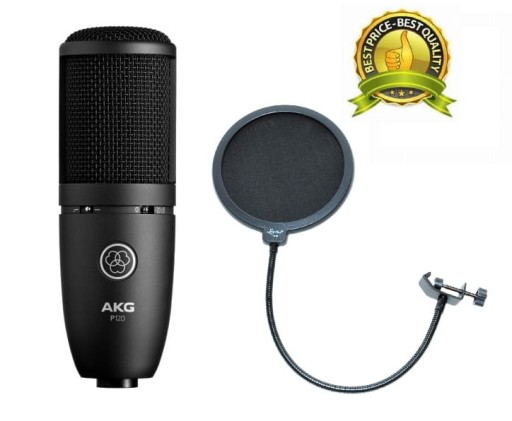 Конденсаторный микрофон AKG P120 XLR + держатель