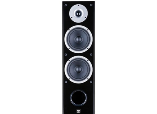 WILSON RAPTOR 5 HI-FI НАПОЛЬНЫЙ ДИНАМИК