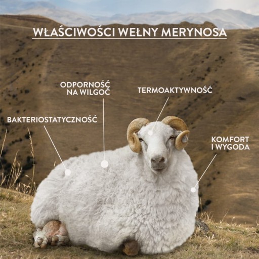 ТИМБЕР АРКТИК БОЙЗЕНБЕРРИ меринос зимний бобу 29