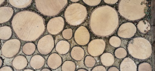Plastry Drewniane - Betonowe Drewno - Ozdobne, na ścieżkę, do ogrodu