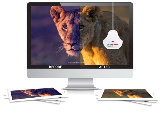 Datacolor SpyderX PRO профессиональный калибратор для мониторов и проекторов