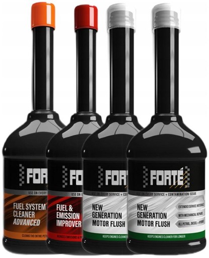 FORTE Petrol Package Профилактический ремонт Форсунок Кольца топливной системы