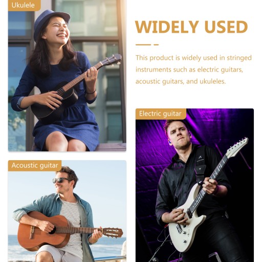 CHORD SPECTRUM SEAL ГИТАРА ПОЧТОВАЯ ТЕГКА CHORD