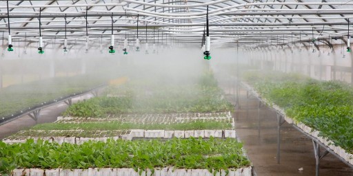 KOMPLET: Mikrozraszacz Zamgławiacz Rozpylacz Fogger +wężyk+obciążenie+zawór