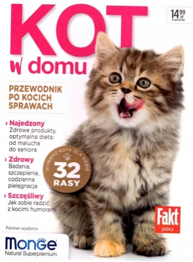 Кот дома