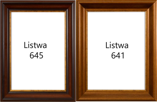 РАМА РАЗМЕРОМ 58 ММ ПРЫЖКА