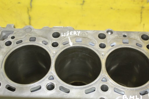 BLOK SILNIKA BMW F10 F30 F313.0 D N57D30A 7823013