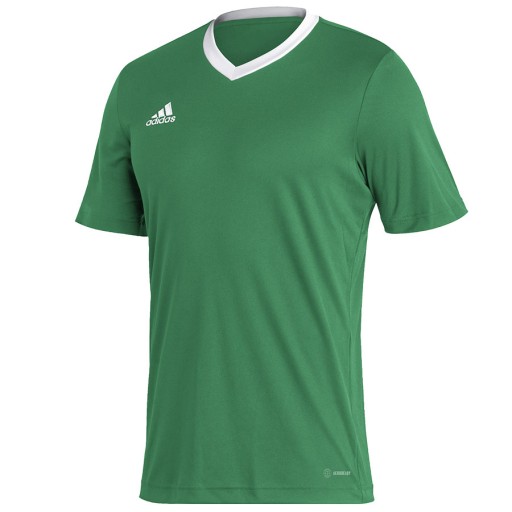 ADIDAS ENTRADA 22 JSY Y (XL) Koszulka Męskie Zielony