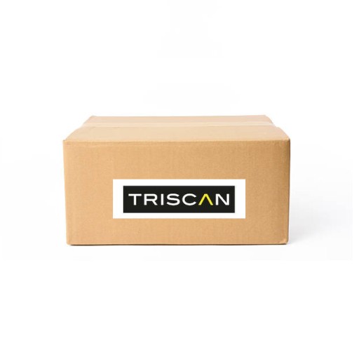 РЕСОРНА ЗАДНЯЯ 4-ЛИСТОВАЯ 8765 80006 TRISCAN