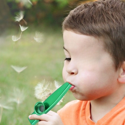 KAZOOS METALOWE 6 SZT.