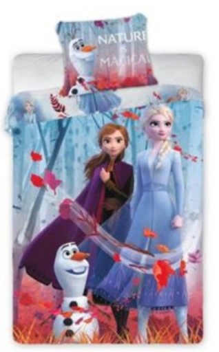 Детское ПОСТЕЛЬНОЕ ХОРОШЕЕ Эльза 160х200 FROZEN