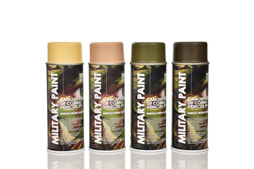 Deco Color MILITARY PAINT SPRAY лак RAL9010