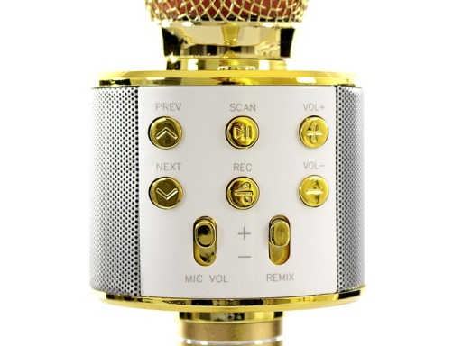 MIKROFON karaoke LED DMX ECHO WEJŚCIE NA micro SD