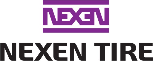 2x 225/65R16C 112R Nexen Winguard WT1