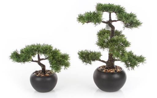 искусственная хвойная сосна BONSAI Pinia 48 см