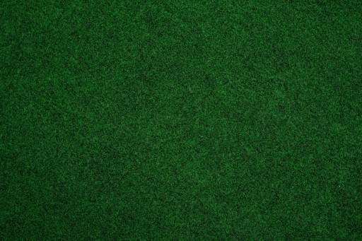 GARDEN Ковер-трава 100x2000см Садовый Мох