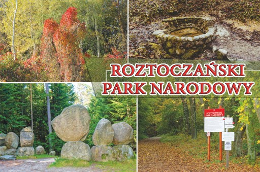 Magnesy - ROZTOCZAŃSKI PARK NARODOWY