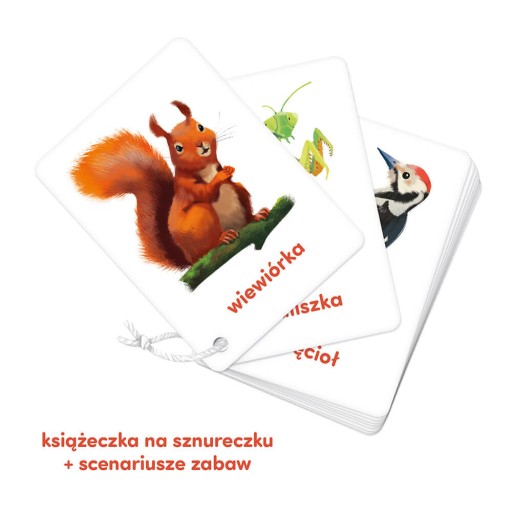 CZUCZU Карточки с картинками на веревке ЖИВОТНЫЕ 2+