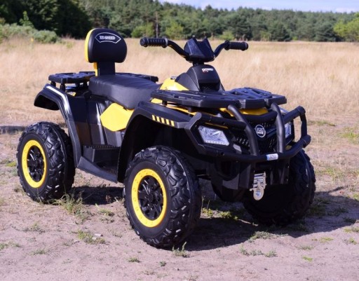 BIG QUAD ДЛЯ АККУМУЛЯТОРА XT SPEED 12 В, 90 ВАТ/S615