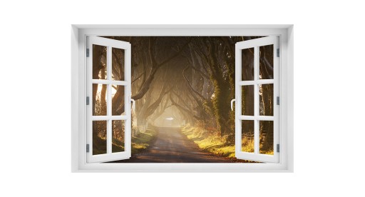 Наклейка Фотообои 3D Окно Туман в лесу 120х80