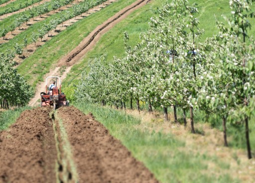 PREMIUM LINIA KROPLUJĄCA 25m NAWODNIENIE KROPLEKOWE WĄŻ POCĄCY OGRODOWY