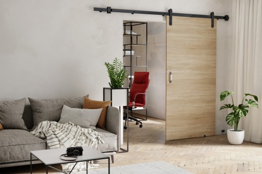 Двери раздвижные LOFT 