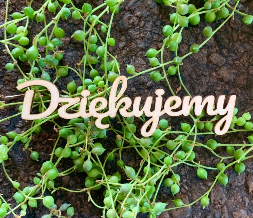 Napis dekor Dziękujemy dla nauczyciela rodziców cytat napis grawer 10 cm