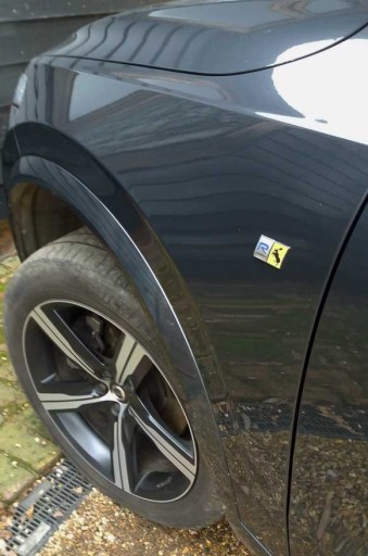 VOLVO POLESTAR R СКАЧАЮЩИЙ ЛОСЬ С ЭМБЛЕМОЙ МОСА КЛАПАН