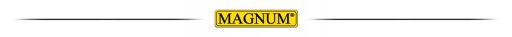 Сварочный аппарат MAGNUM MIG 170W MMA IGBT 160A MIGOMAT