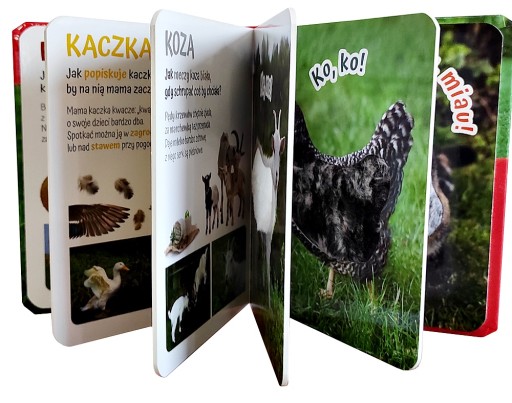 КНИГА КНИГА ТАТТ THE COUNTRY ANIMAL Z