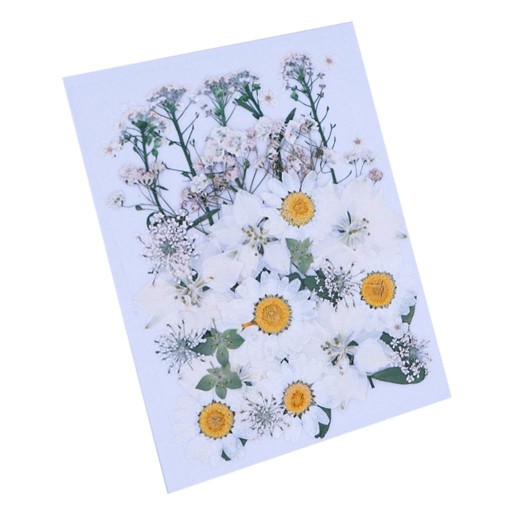 1 упаковка Натуральные прессованные сухоцветы Листья IY Art Craft шт.