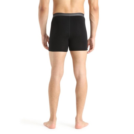 Icebreaker Anatomica Boxer IB1030290101 S боксеры