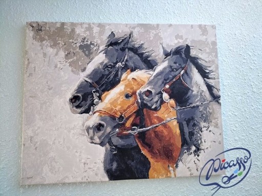 Набор КРАСКА ПО ЦИФРАМ - ИПИКАССО 40x50