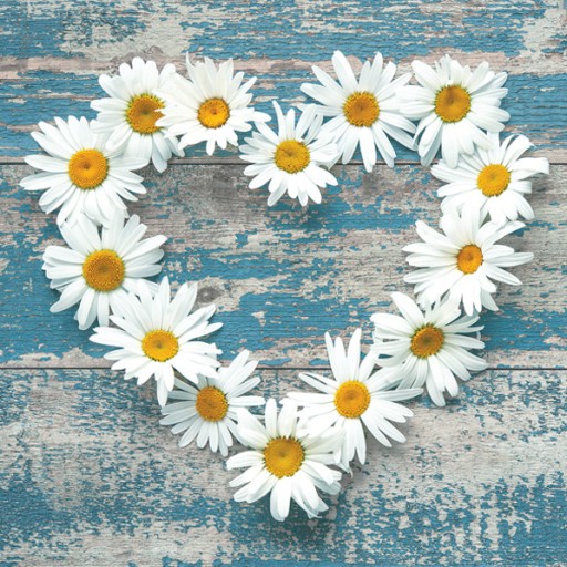 САЛФЕТКИ МАКОВЫЕ DAISY SLWI 045801 33X33CM 20 ШТ.