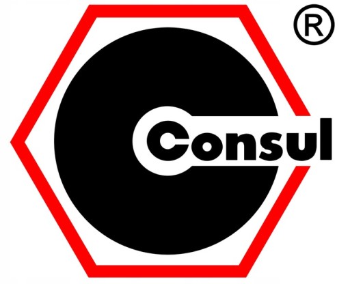 CONSUL 2.30 ДВУХКОЛОННЫЙ ПОДЪЕМНИК НА РАМЕ