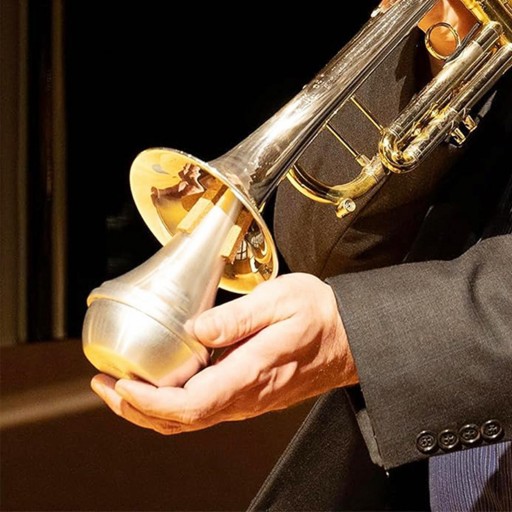 Алюминиевая тренировочная труба Mute Trumpet Pro