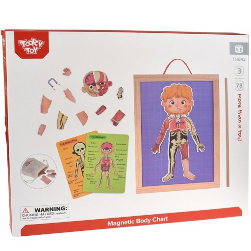 Tooky Toy Деревянная магнитная головоломка Монтессори