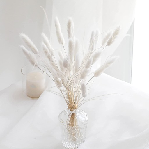 Одуванчик яйцевидный сушеный Lagurus Natural White