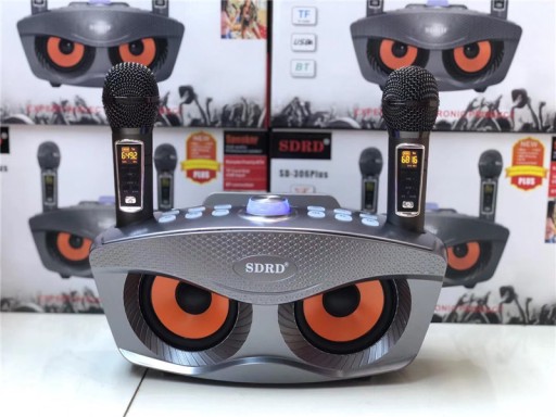 Караоке SD306 PLUS 30 Вт беспроводной ЧЕРНЫЙ