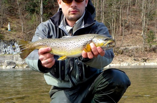 Kopyto FlashJ Shad 5.2 cm Fish Arrow Pstrąg Okoń