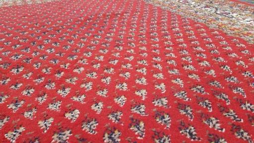 INDO SAROUG MIR PERSKI DYWAN R. TKANY 250/365CM
