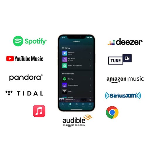 WIIM PRO ODTWARZACZ SIECIOWY STRUMIENIOWY WIFI AIRPLAY CHROMECAST