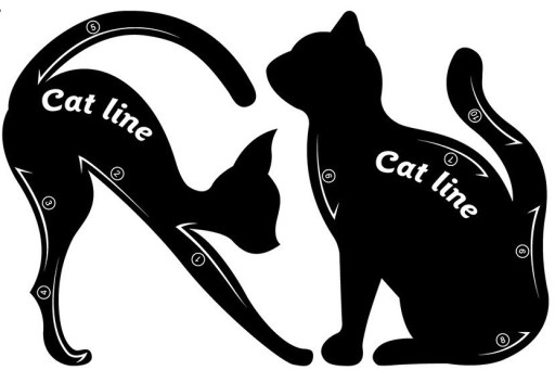 Шаблон для макияжа CAT LINE линии CAT EYE