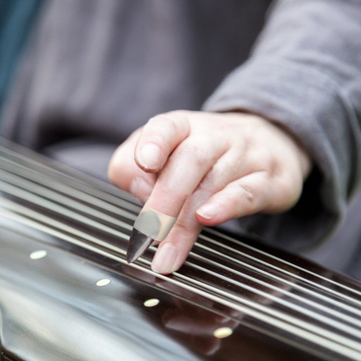 GITARA AKUSTYCZNA SILIKONOWA OSŁONA NA GWOŹDZIE GUZHENG LLWL
