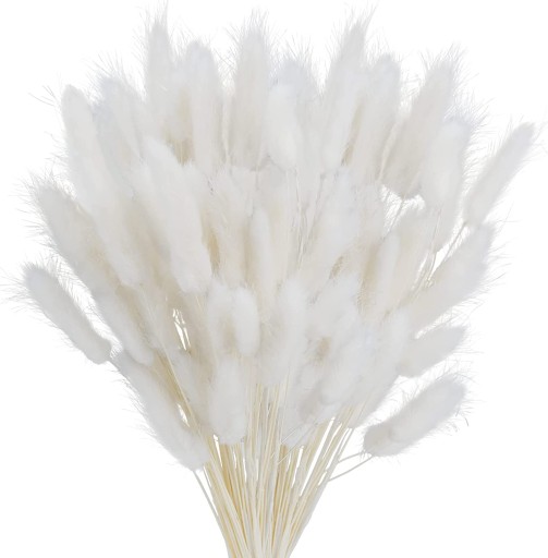 Одуванчик яйцевидный сушеный Lagurus Natural White