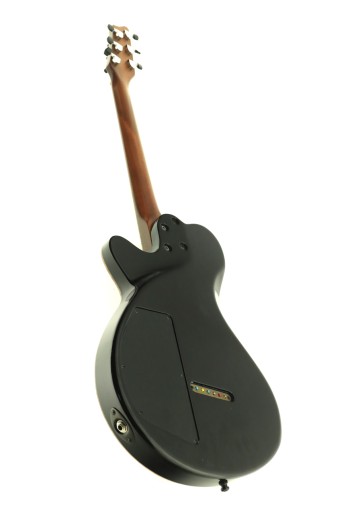Godin LG Signature — идеальный профессиональный инструмент